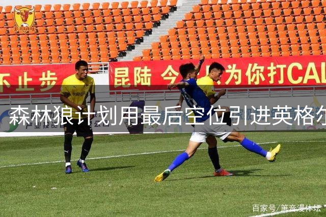 森林狼计划用最后空位引进英格尔斯型球员